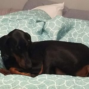 Meet your Posher, Matthew